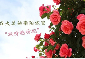 未標題-18.jpg